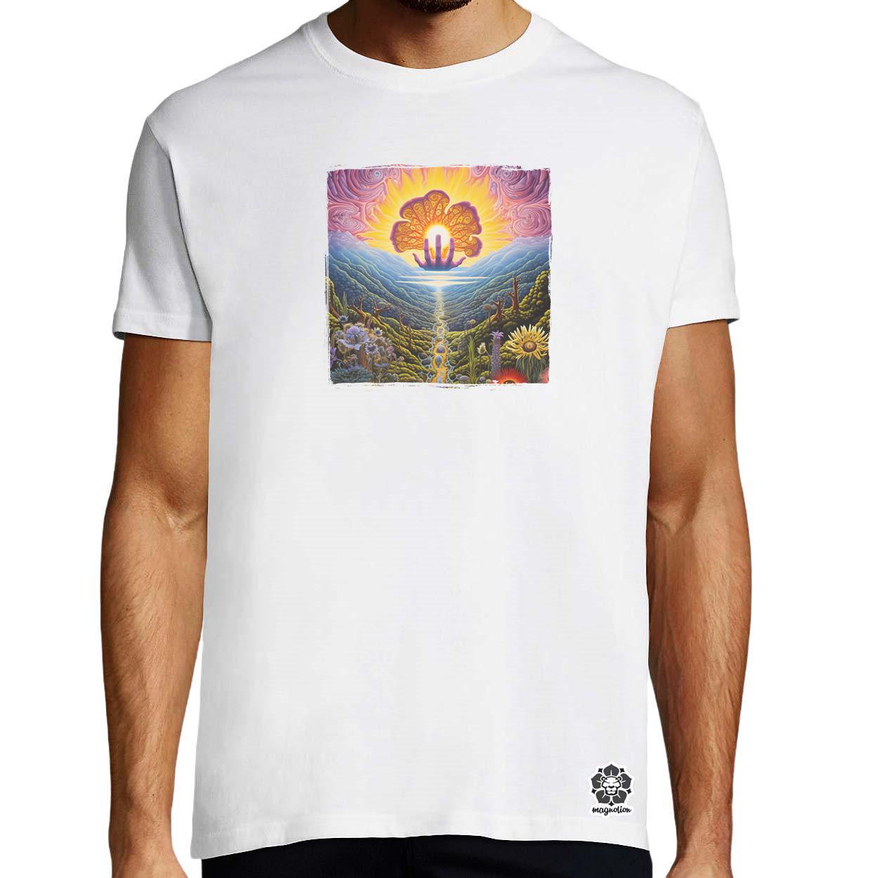 Spirituális ébredés v11 egyedi póló 