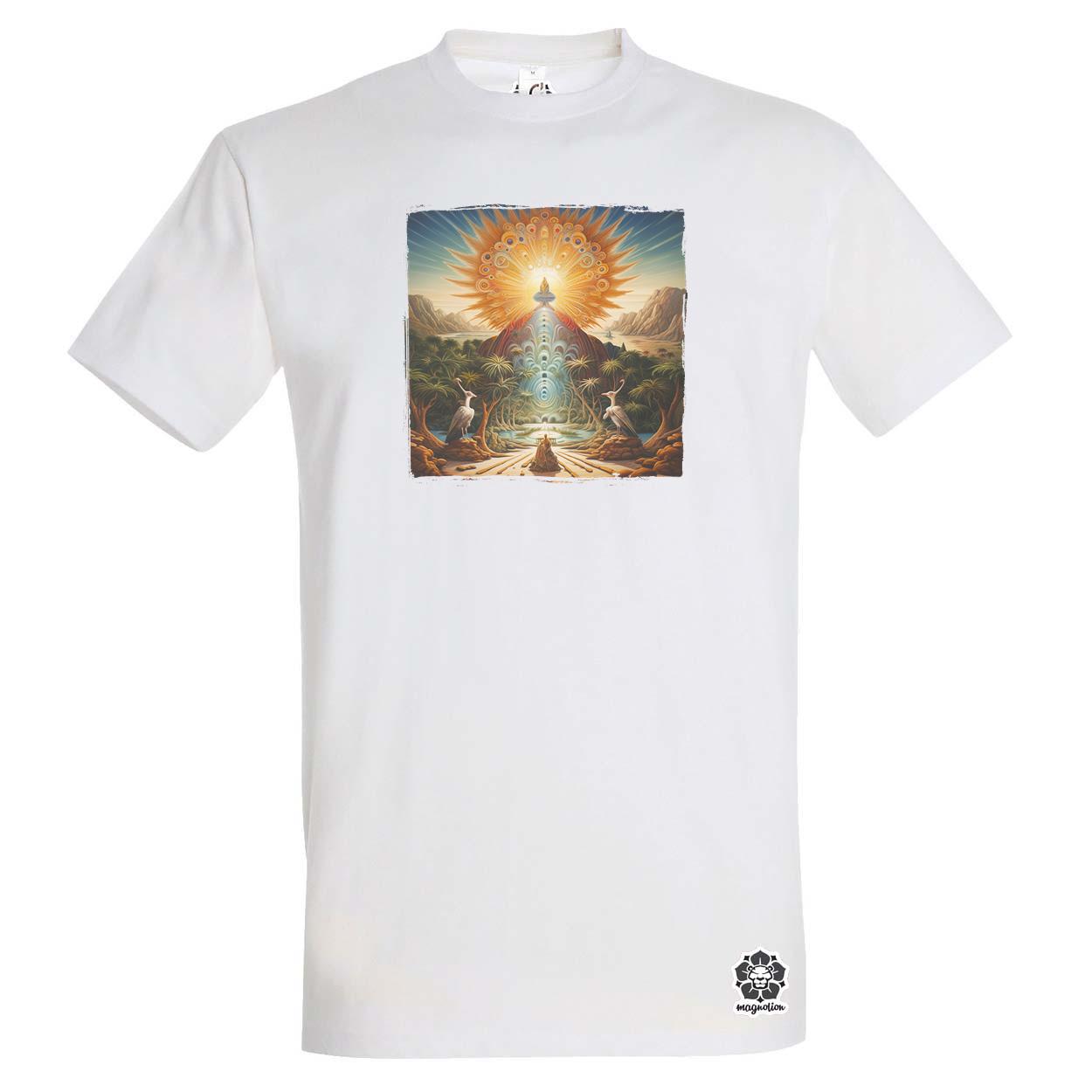 Spirituális ébredés v9 egyedi póló 