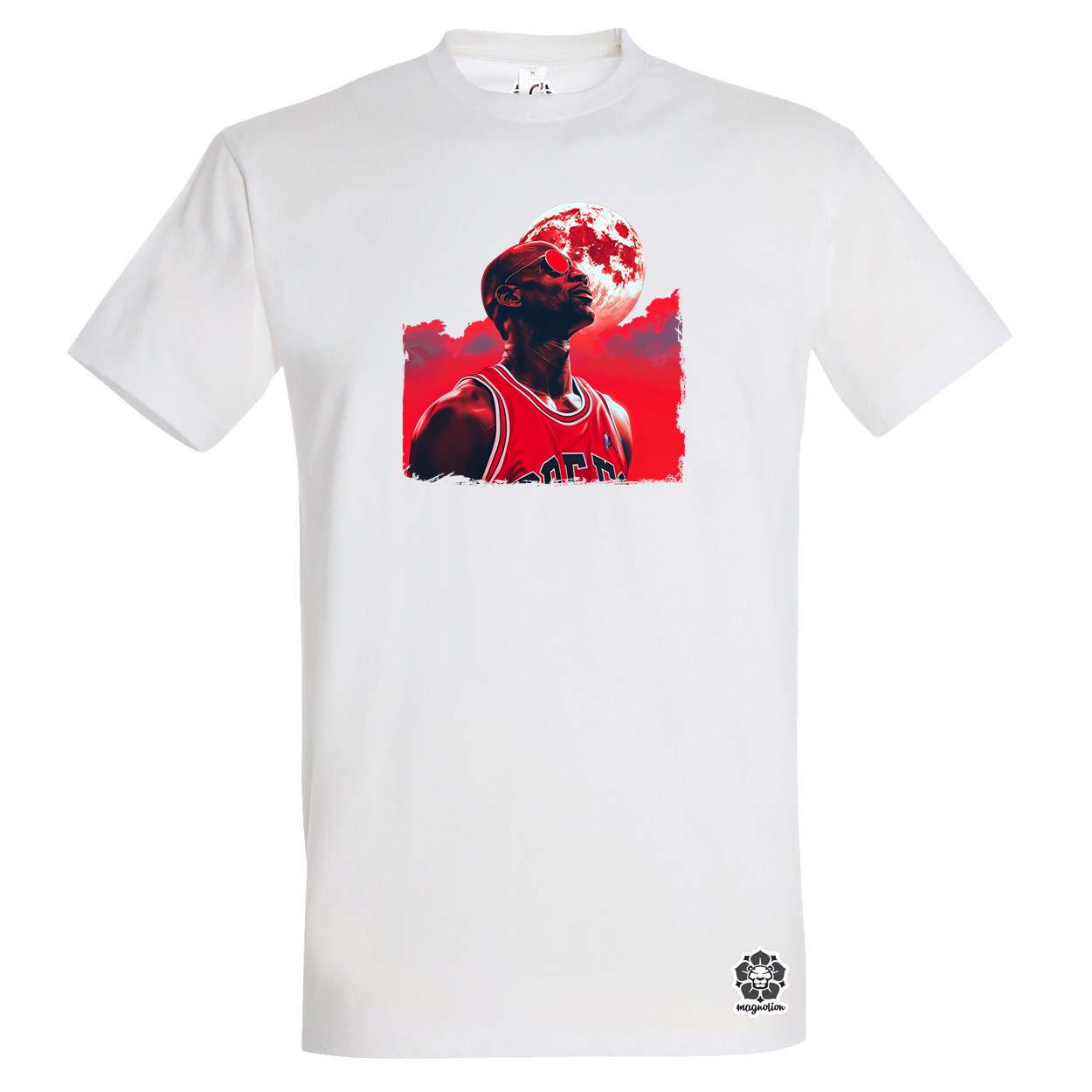 Jordan v2 egyedi póló 