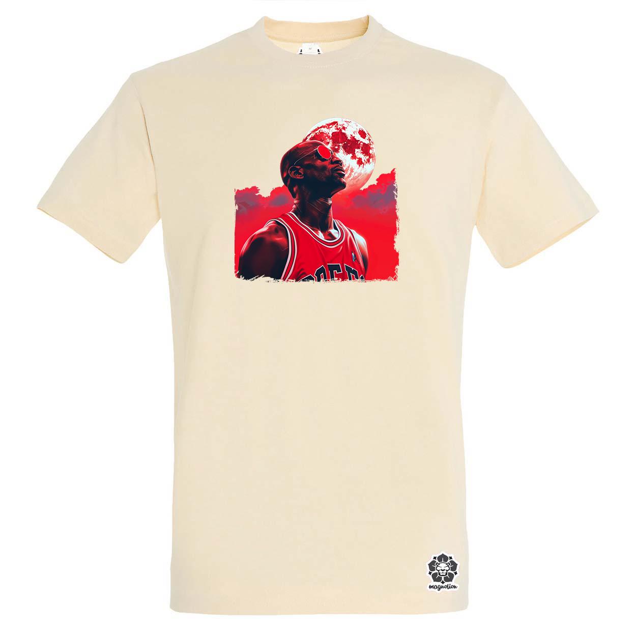 Jordan v2 egyedi póló 