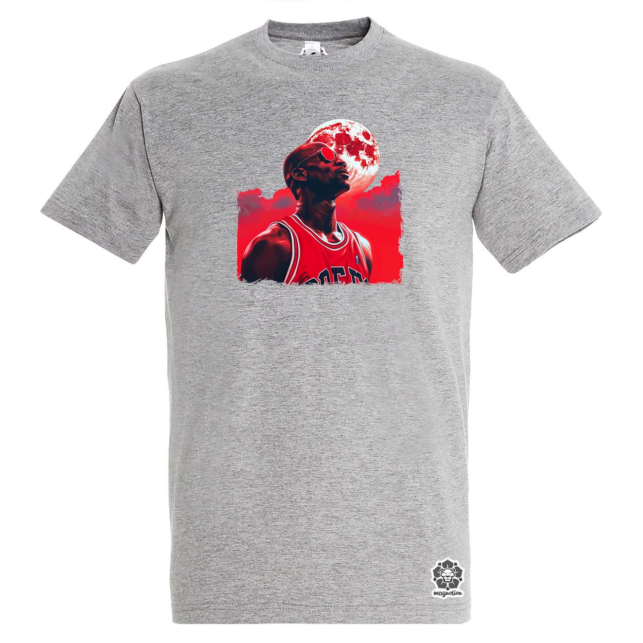 Jordan v2 egyedi póló 