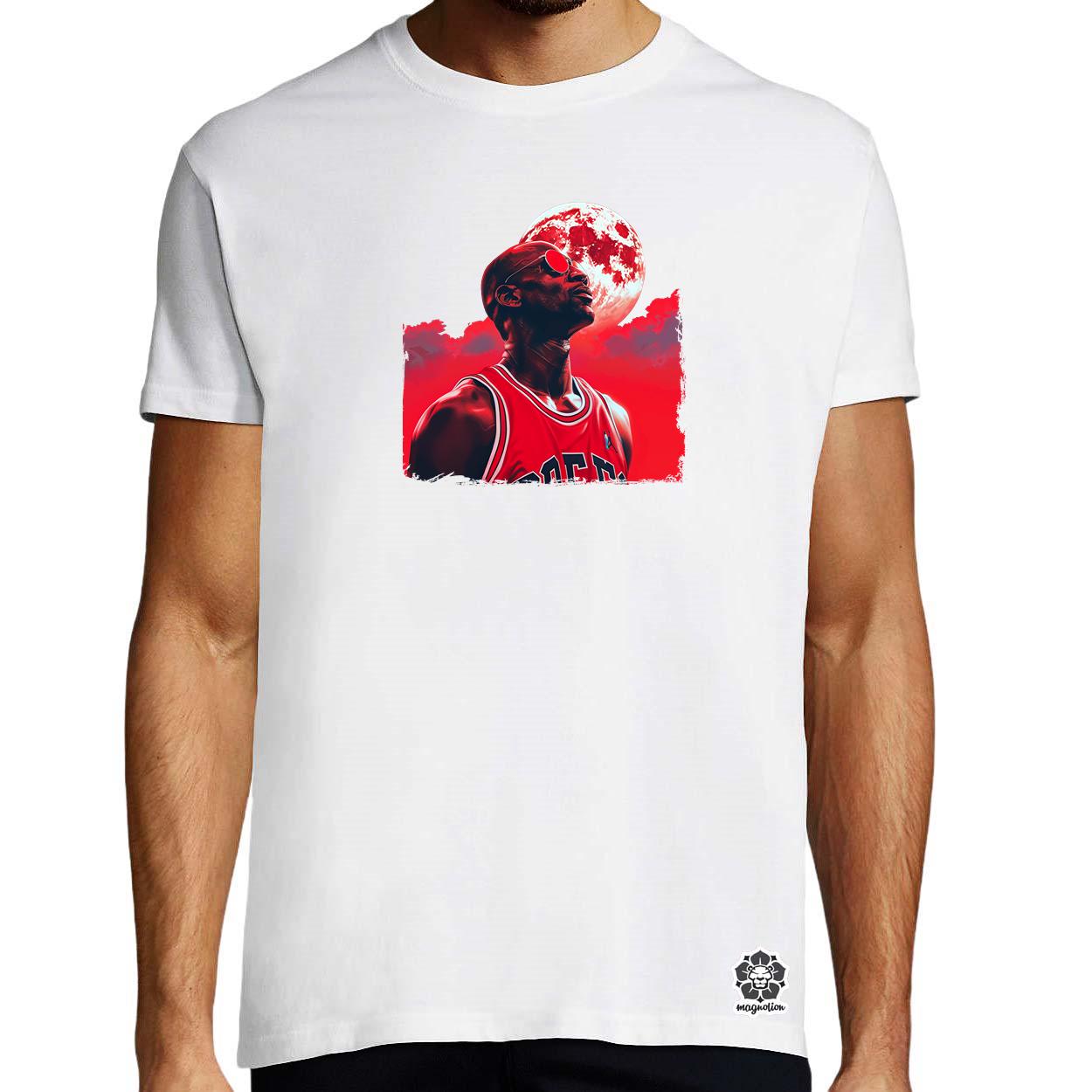 Jordan v2 egyedi póló 
