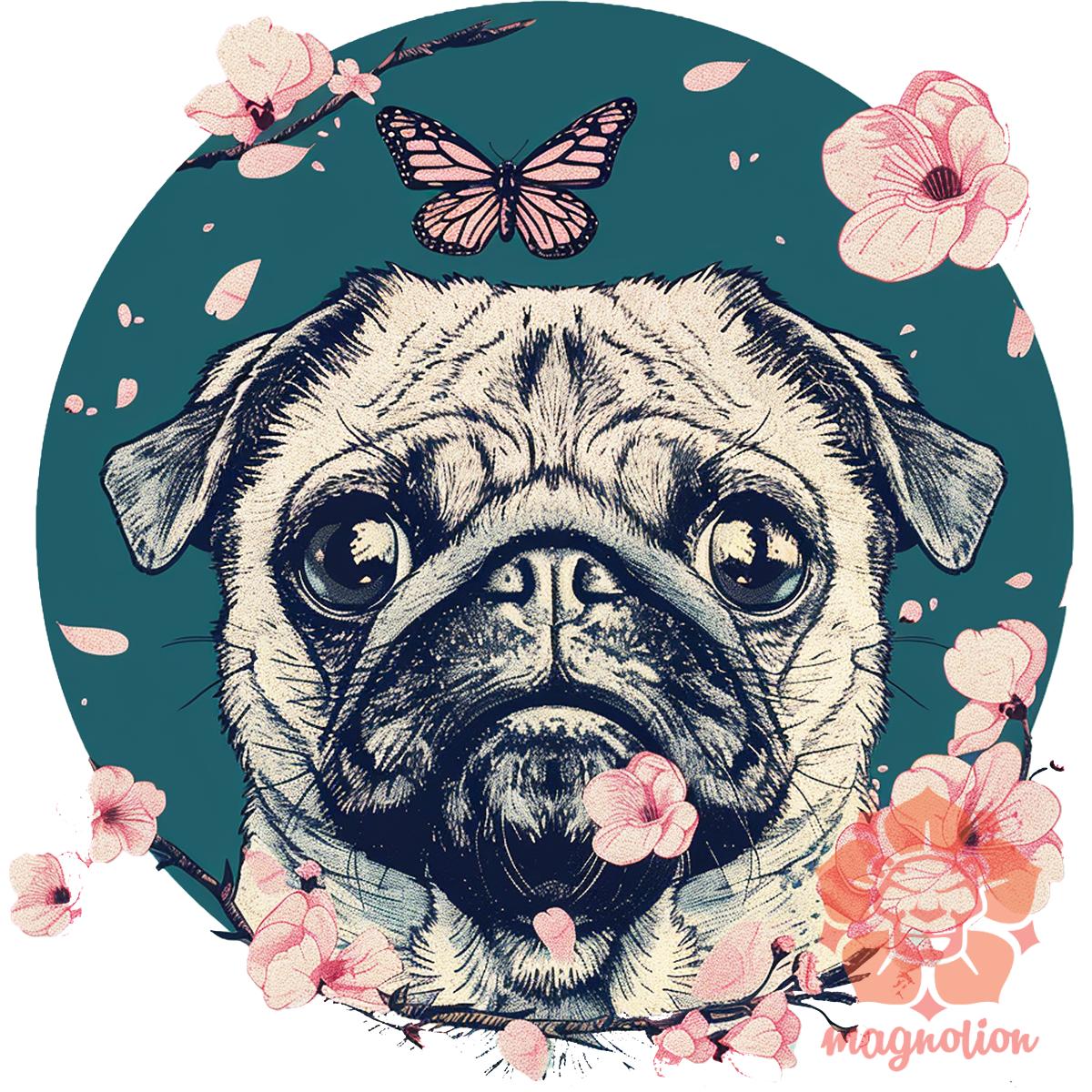 Mopsz és pillangó v2 egyedi  pulóver 