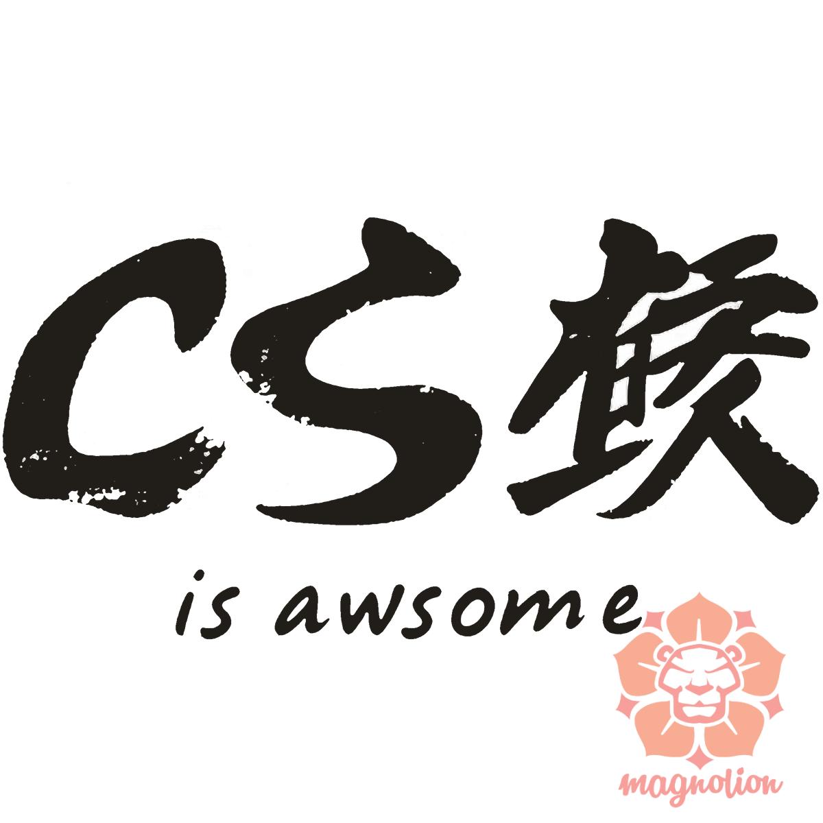 CSS is awesome v4 egyedi póló 