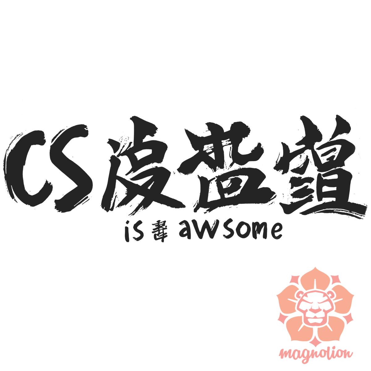 CSS is awesome v5 egyedi póló 