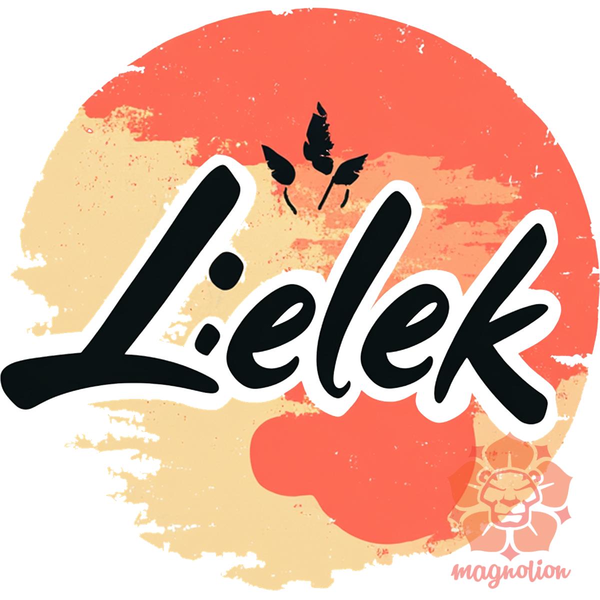 Lélek v17 egyedi póló 