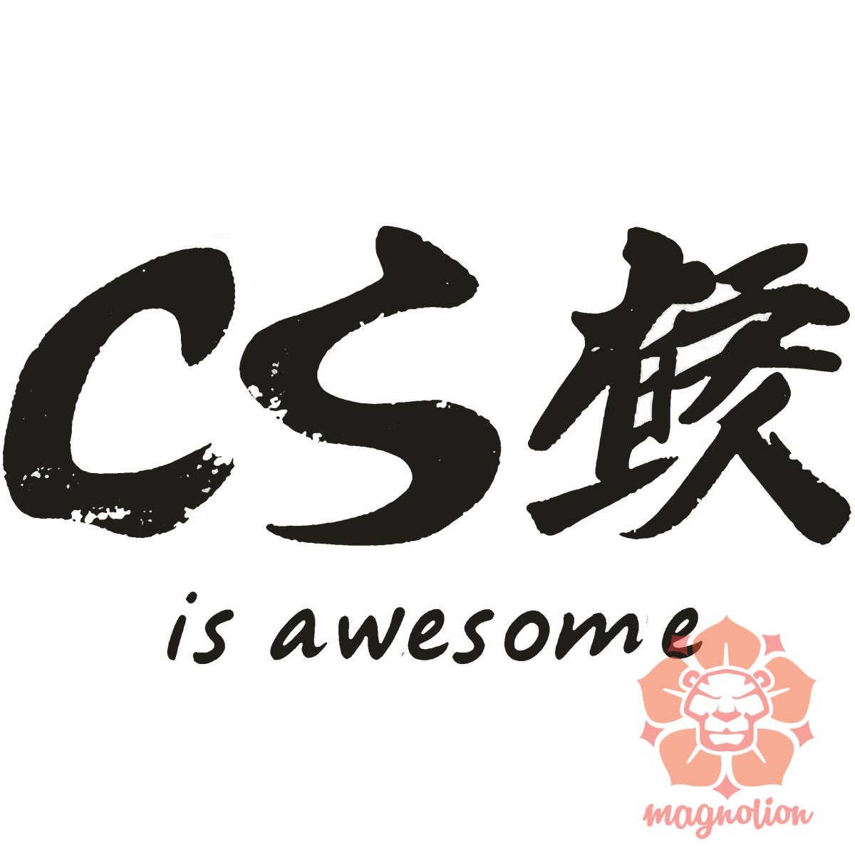 CSS is awesome v4 egyedi póló 